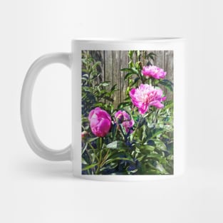 Pink Peonies By Stockade Fence Mug